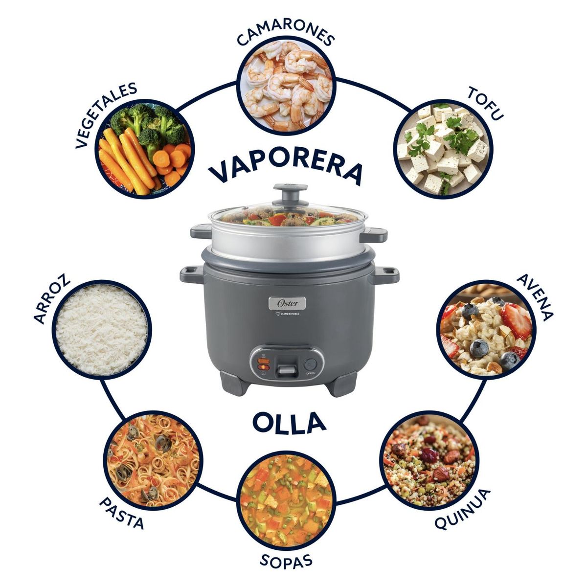 OSTER - Arrocera 3 en 1 12 Tazas CKSTRC12DFSKE Oster
