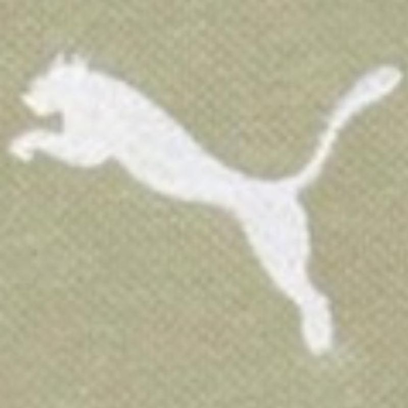 PUMA - Polerón Deportivo Algodón Manga Larga Puma