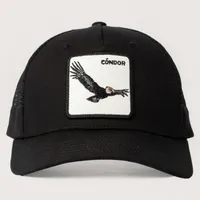 Jockey Condor Unisex