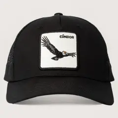 WILD LAMA - Jockey Condor Unisex