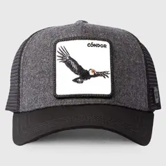 WILD LAMA - Jockey Condor Unisex