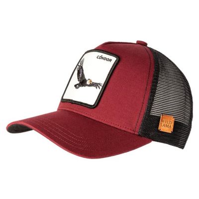 Imagen 2 del producto Jockey Condor Unisex