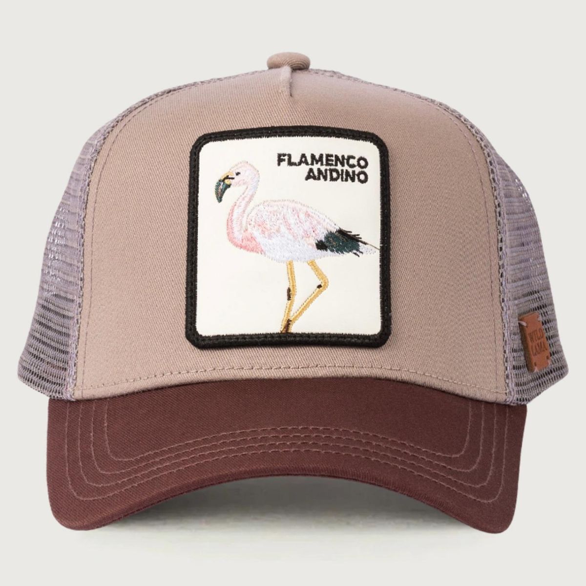 WILD LAMA - Jockey Flamenco Unisex Wild Lama