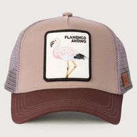 Jockey Flamenco Unisex