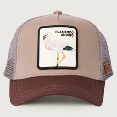 WILD LAMA - Jockey Flamenco Unisex