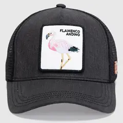 WILD LAMA - Jockey Flamenco Unisex