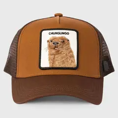 WILD LAMA - Jockey Chungungo Unisex