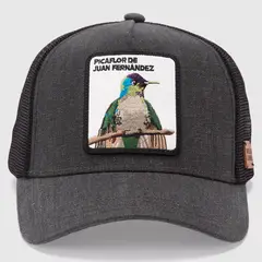 WILD LAMA - Jockey Picaflor Unisex