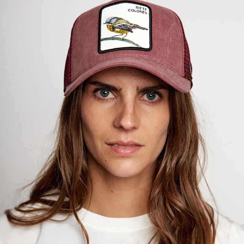 WILD LAMA - Jockey Siete Colores Unisex Wild Lama