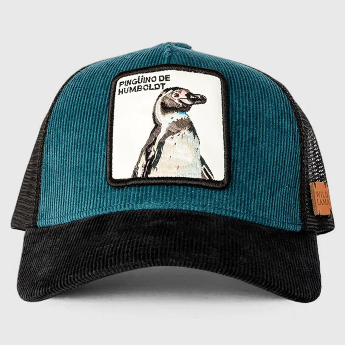 WILD LAMA - Jockey Pinguino Unisex Wild Lama