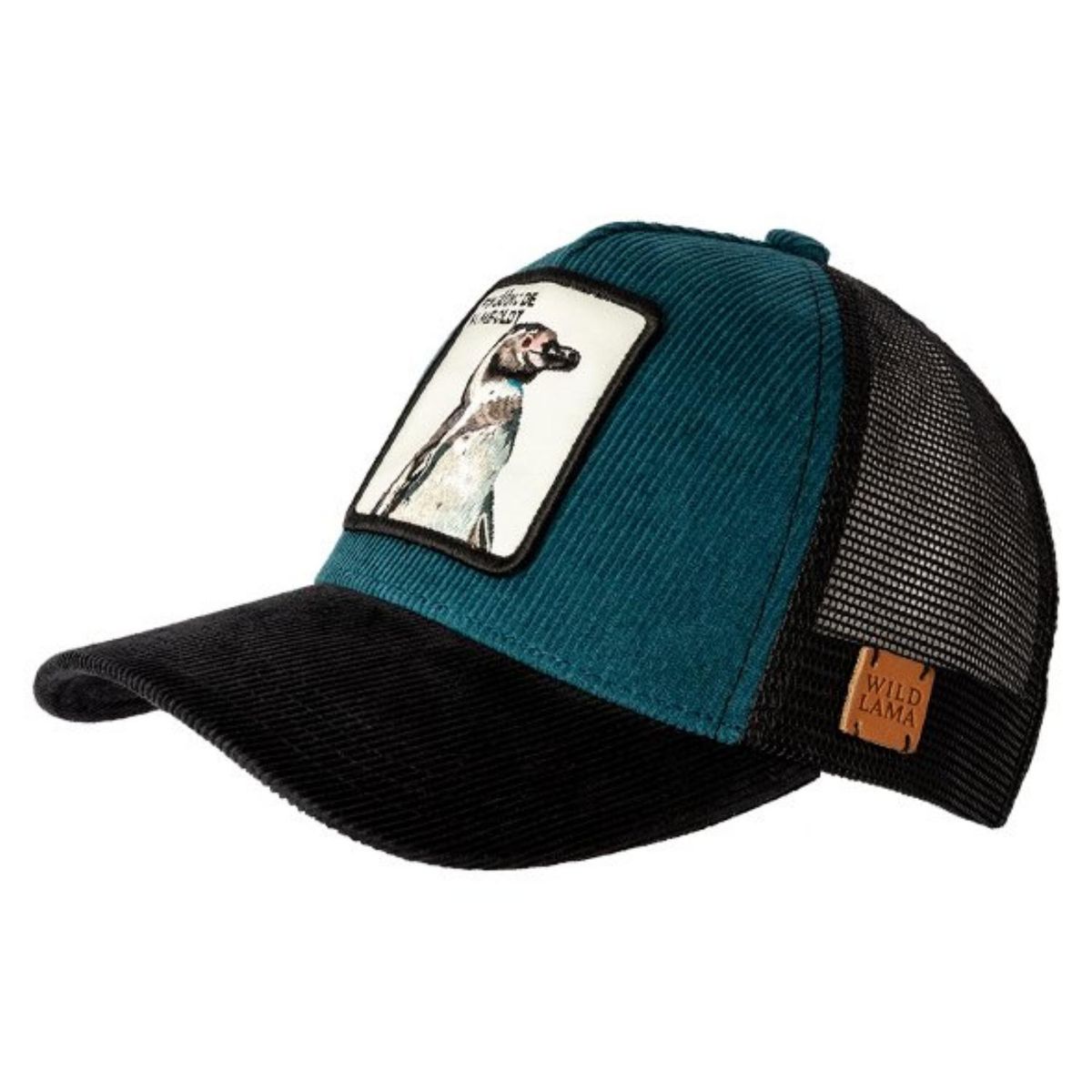 WILD LAMA - Jockey Pinguino Unisex Wild Lama