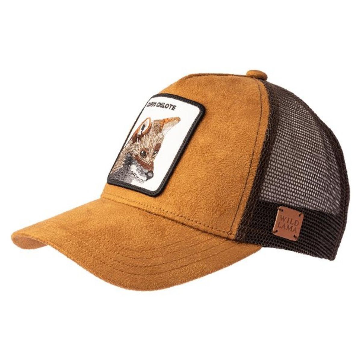 WILD LAMA - Jockey Zorro Unisex Wild Lama