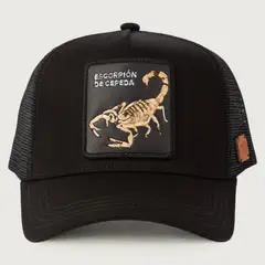 WILD LAMA - Jockey Escorpion Unisex