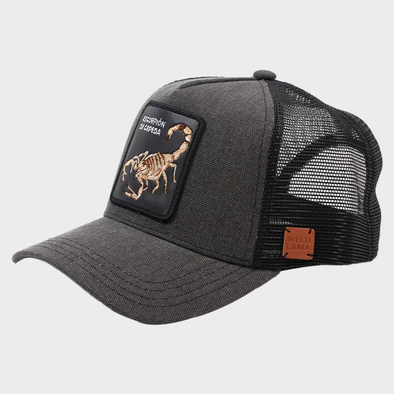 WILD LAMA Jockey Escorpion Unisex Wild Lama | Falabella Chile