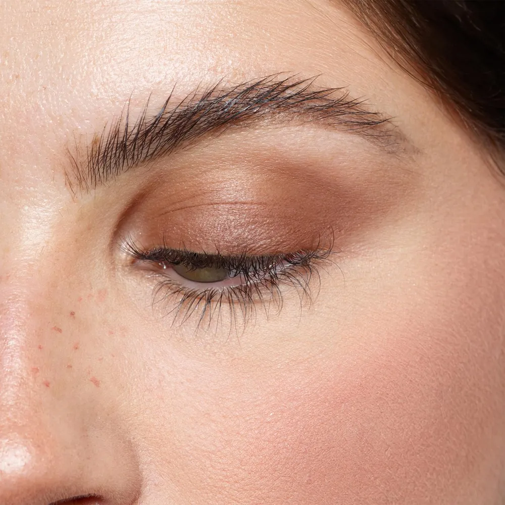 Nudestix Magnetic Matte Eye Color Chocolate, foto 3