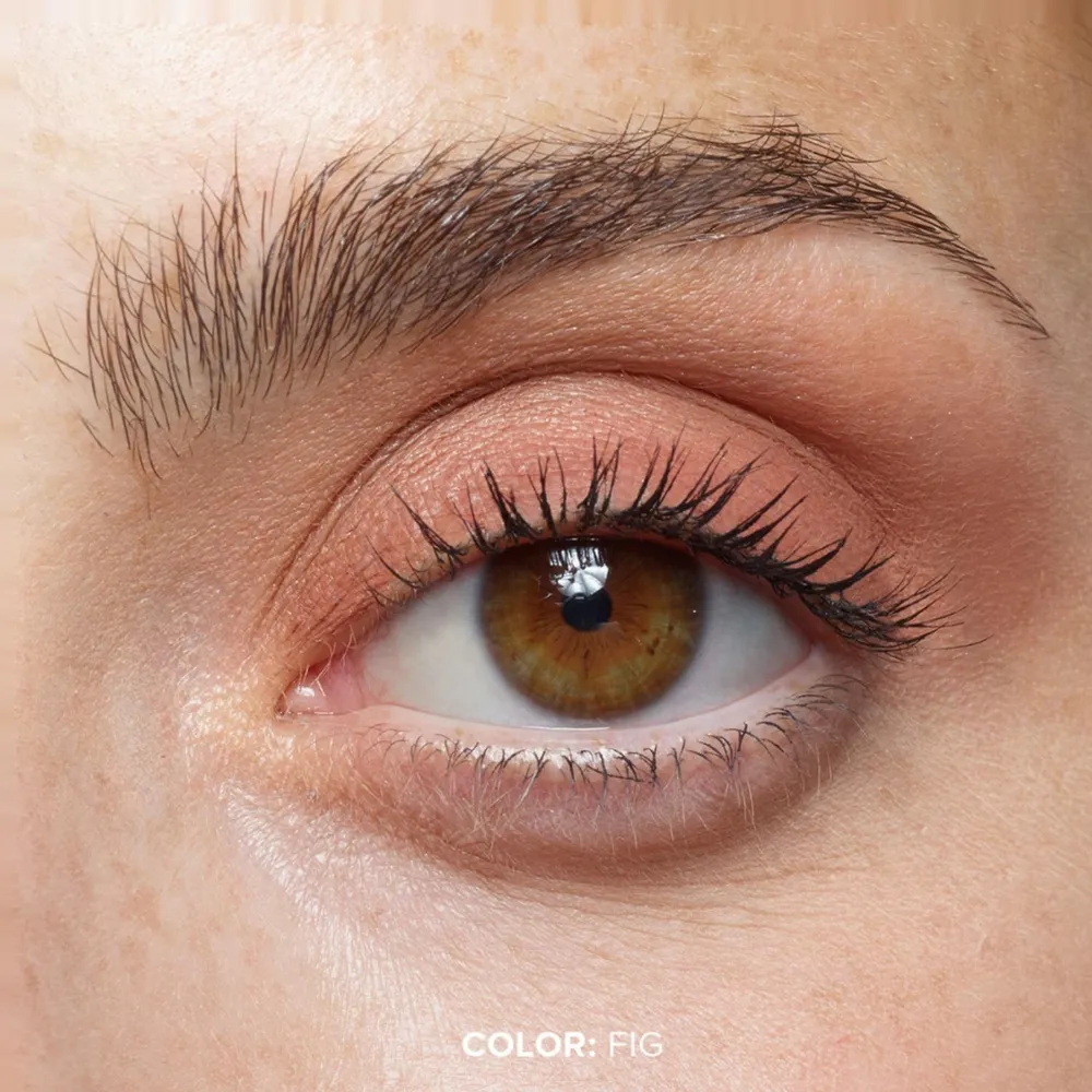 Nudestix Magnetic Matte Eye Color Fig, foto 3