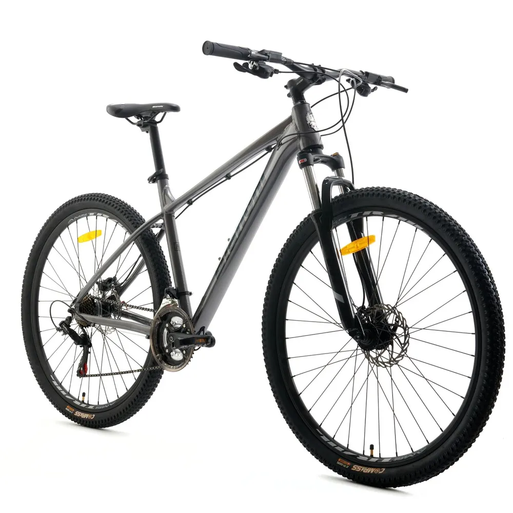 Bianchi Stone 29 R9.1 Talla L Gris, foto 2