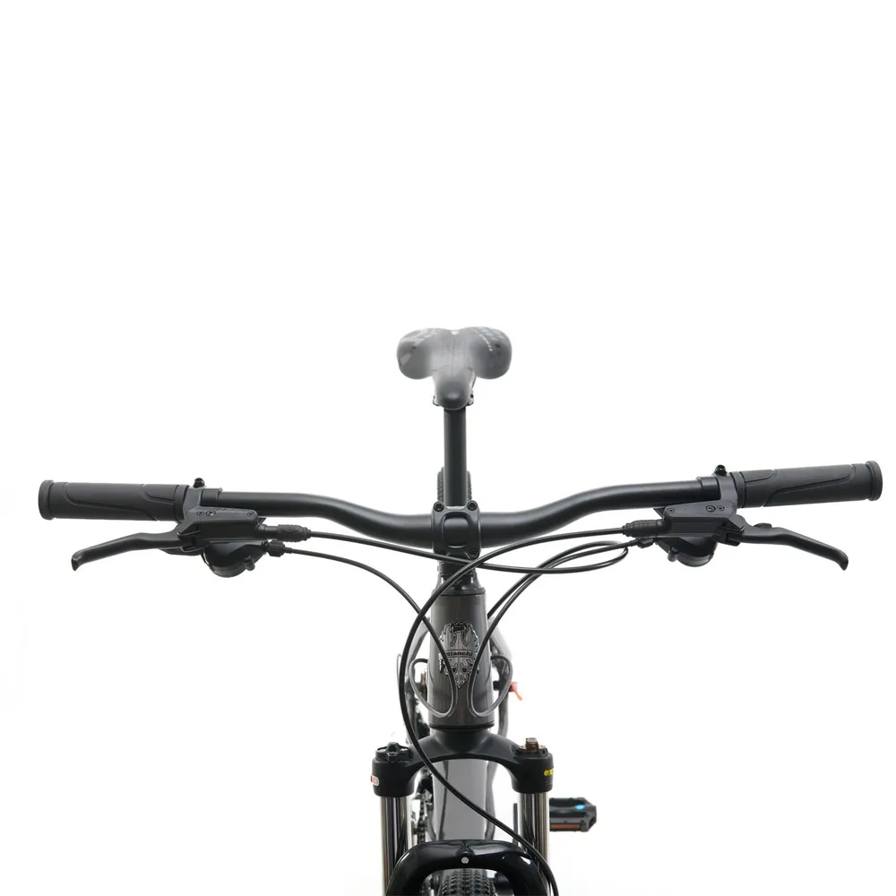 Bianchi Stone 29 R9.1 Talla L Gris, foto 3
