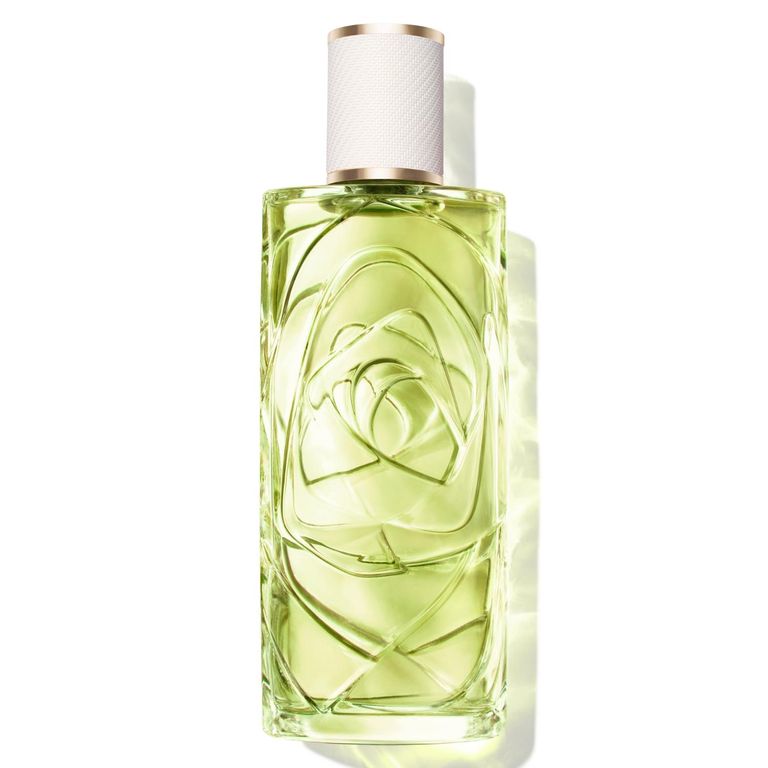 Perfume Mujer Ôff Now Edt 100 Ml