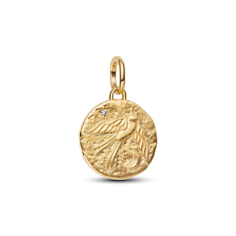 Charm Medallon Golondrina Mujer