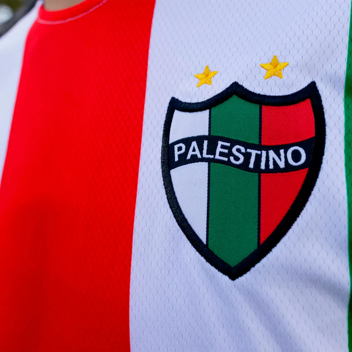 CAPELLISPORT - Camiseta Fútbol Niño Palestino Oficial Capelli