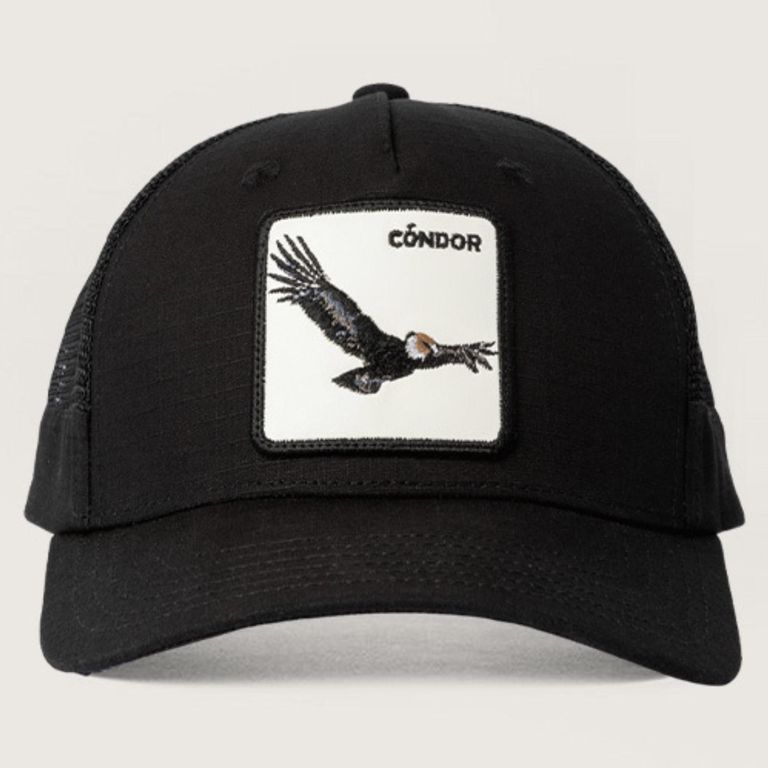 Jockey Condor Unisex Negro 2