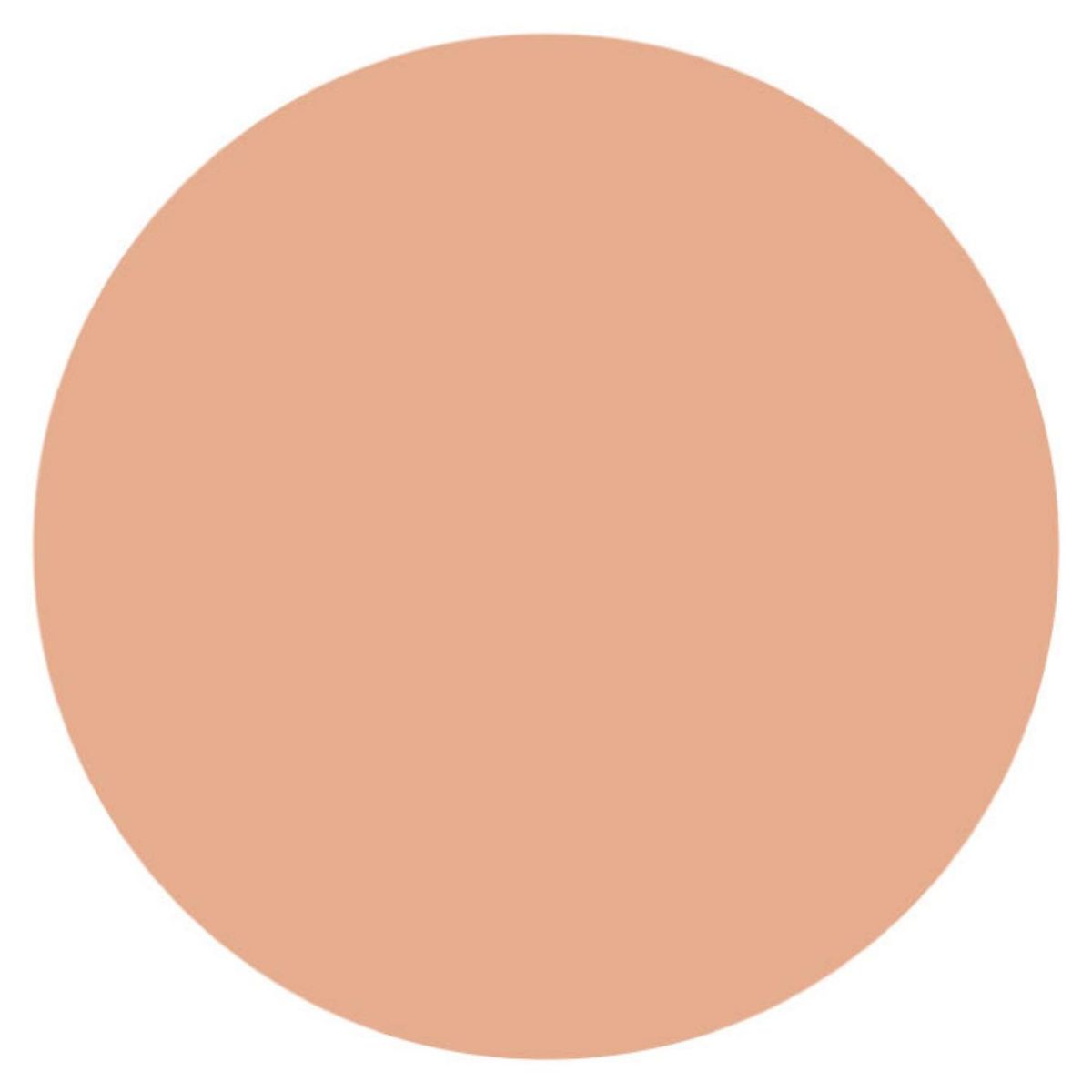 SHISEIDO - UV Protective Compact Foundation (Refill) SPF 30ml Shiseido