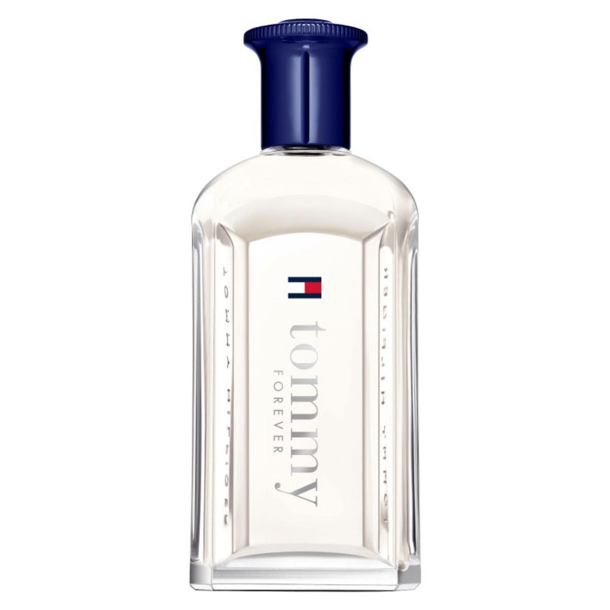 TOMMY HILFIGER - Perfume Hombre Tommy Forever EDT 100Ml Tommy Hilfiger