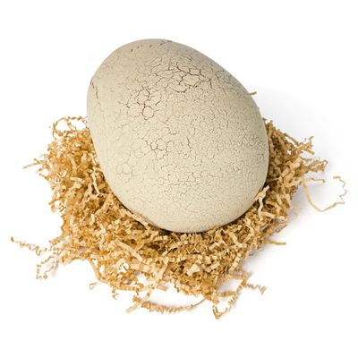 Imagen 2 del producto Eclosion Dino Inte