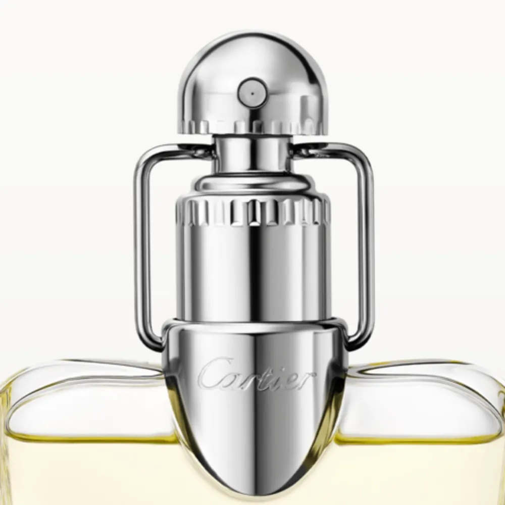 Cartier Déclaration EDT 100 ml, foto 4