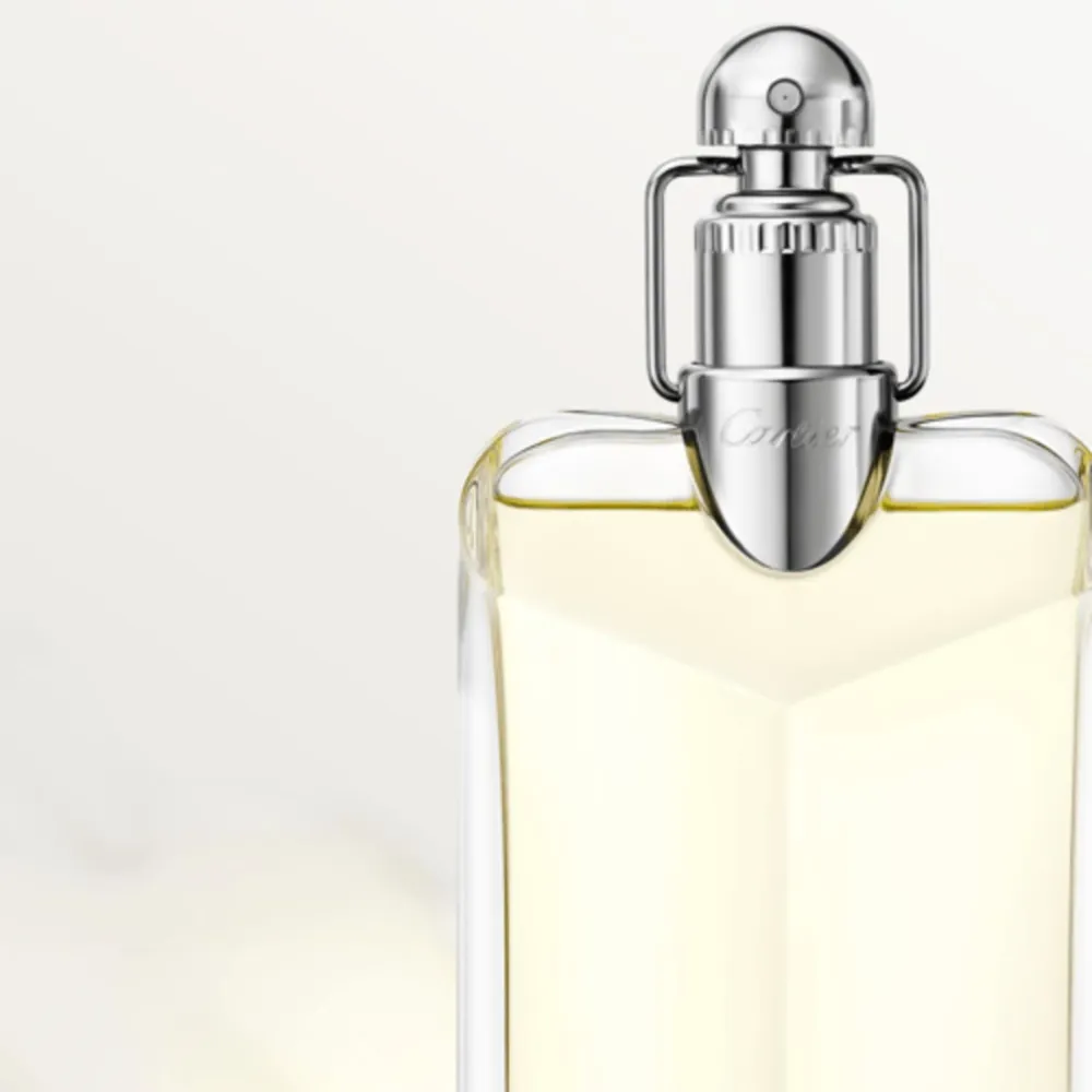 Cartier Déclaration EDT 100 ml, foto 5