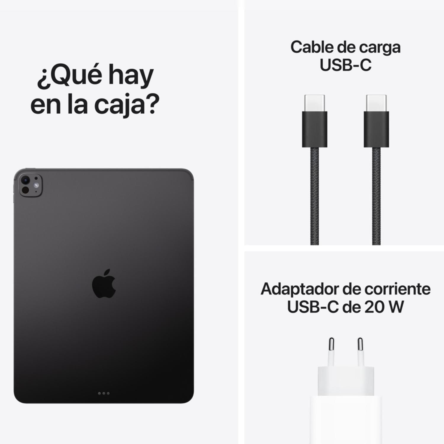 APPLE iPad Pro 13