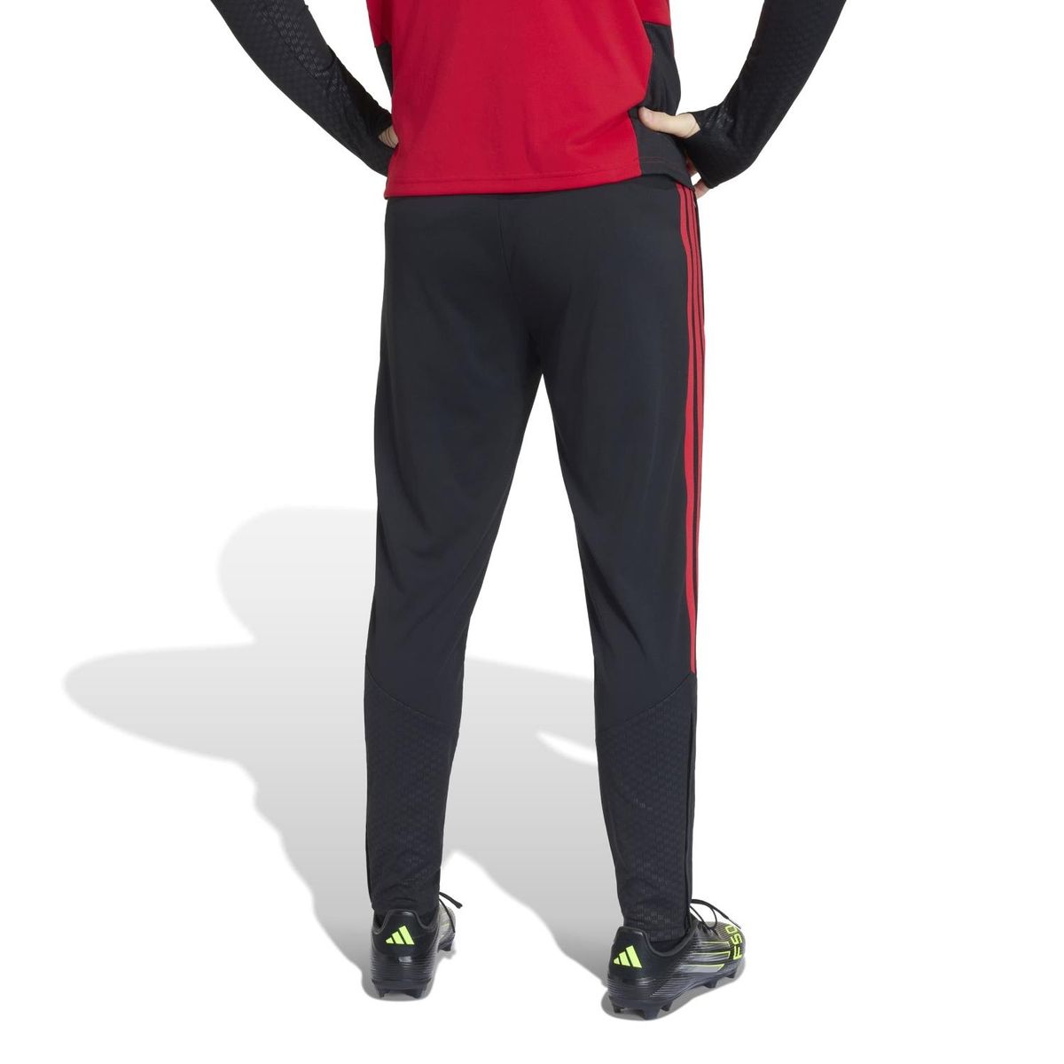 ADIDAS - Pantalón entrenamiento Colo-Colo 2026 Hombre