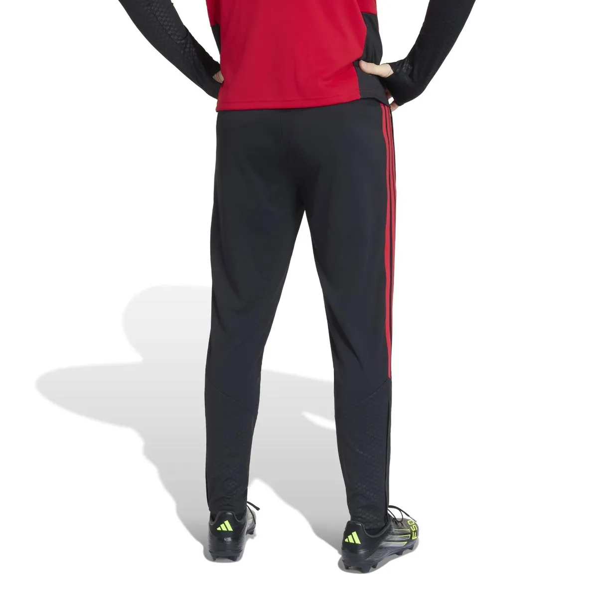 ADIDAS - Pantalón entrenamiento Colo-Colo 2026 Hombre