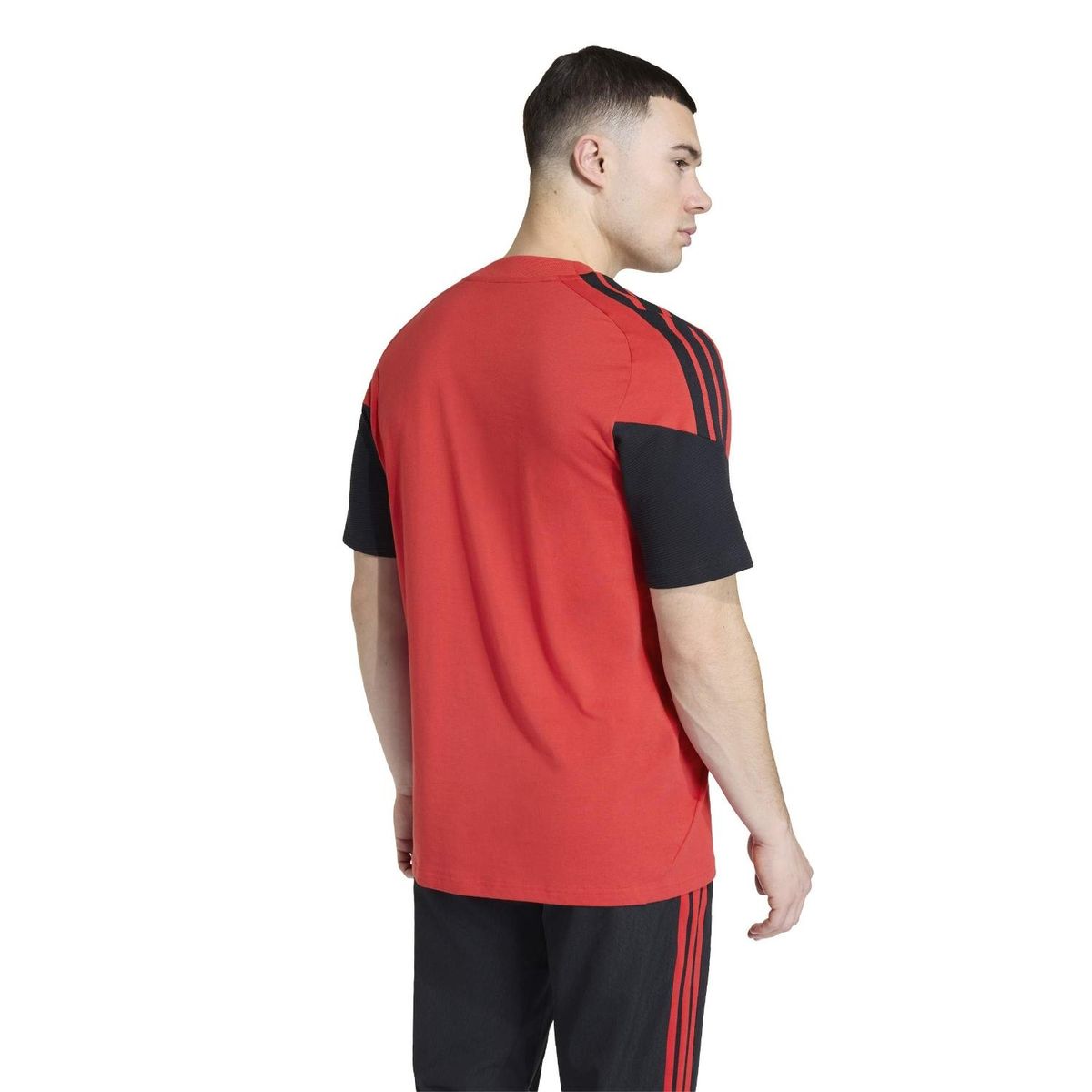 ADIDAS - Polera Algodón Entrenamiento Colo-Colo 2026 Hombre