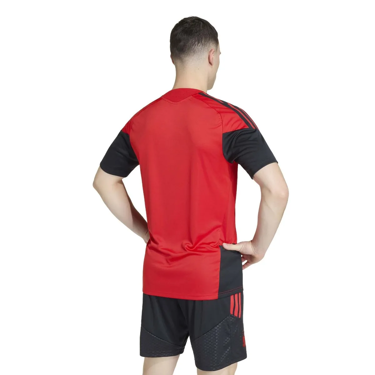 ADIDAS - Polera Entrenamiento Colo-Colo 2026 Hombre