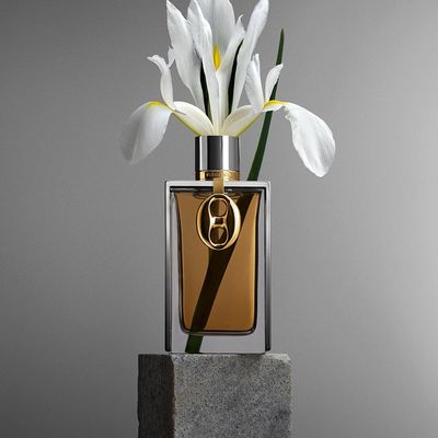 Imagen 2 del producto La Collection Silver Skin EDP 125 ML