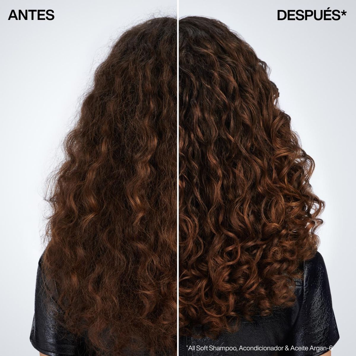 REDKEN - Aceite Soft Argan-6 Oil 100Ml Redken