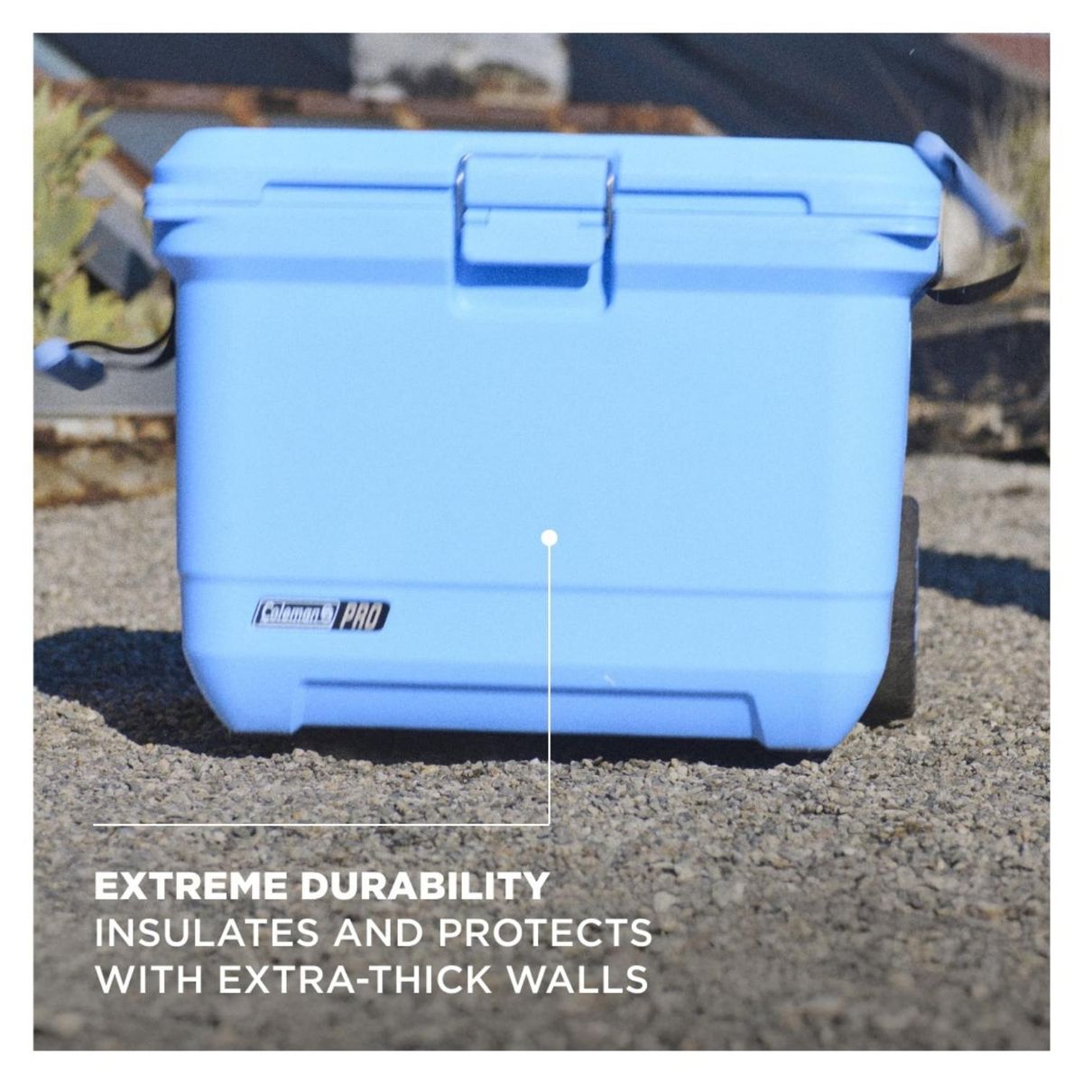 COLEMAN - Cooler Pro 55Qt Blue Celes Coleman