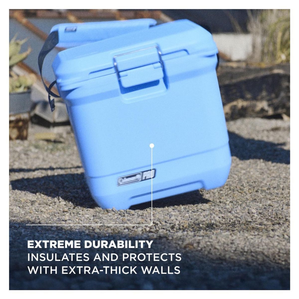 COLEMAN - Cooler Pro 25Qt Blue Celes Coleman