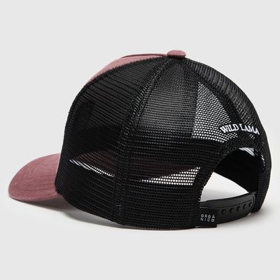 Imagen 2 del producto Jockey Forest Orgánico Unisex