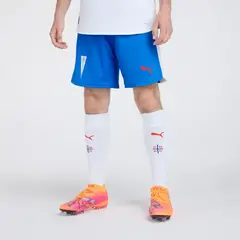 PUMA - Camiseta De Fútbol Unisex