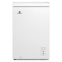 Freezer H100 97 Lt