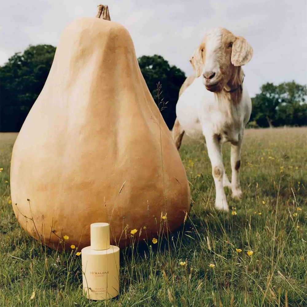 Cologne Velvety Butternut 30 ml, foto 3