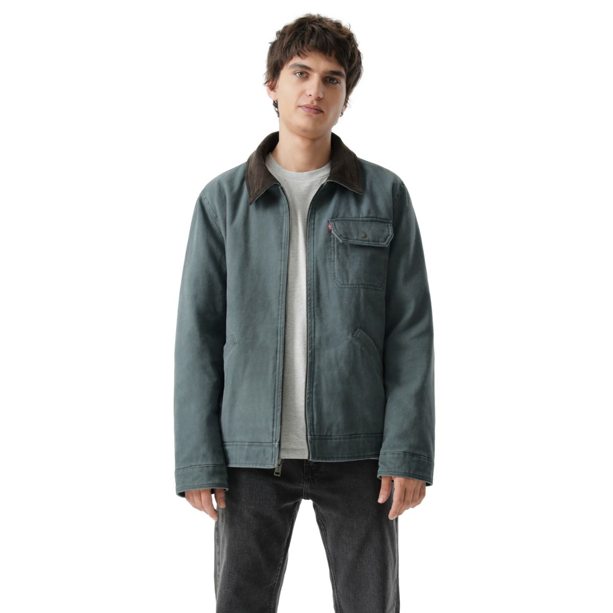 LEVIS - Chaqueta Hombre Levis