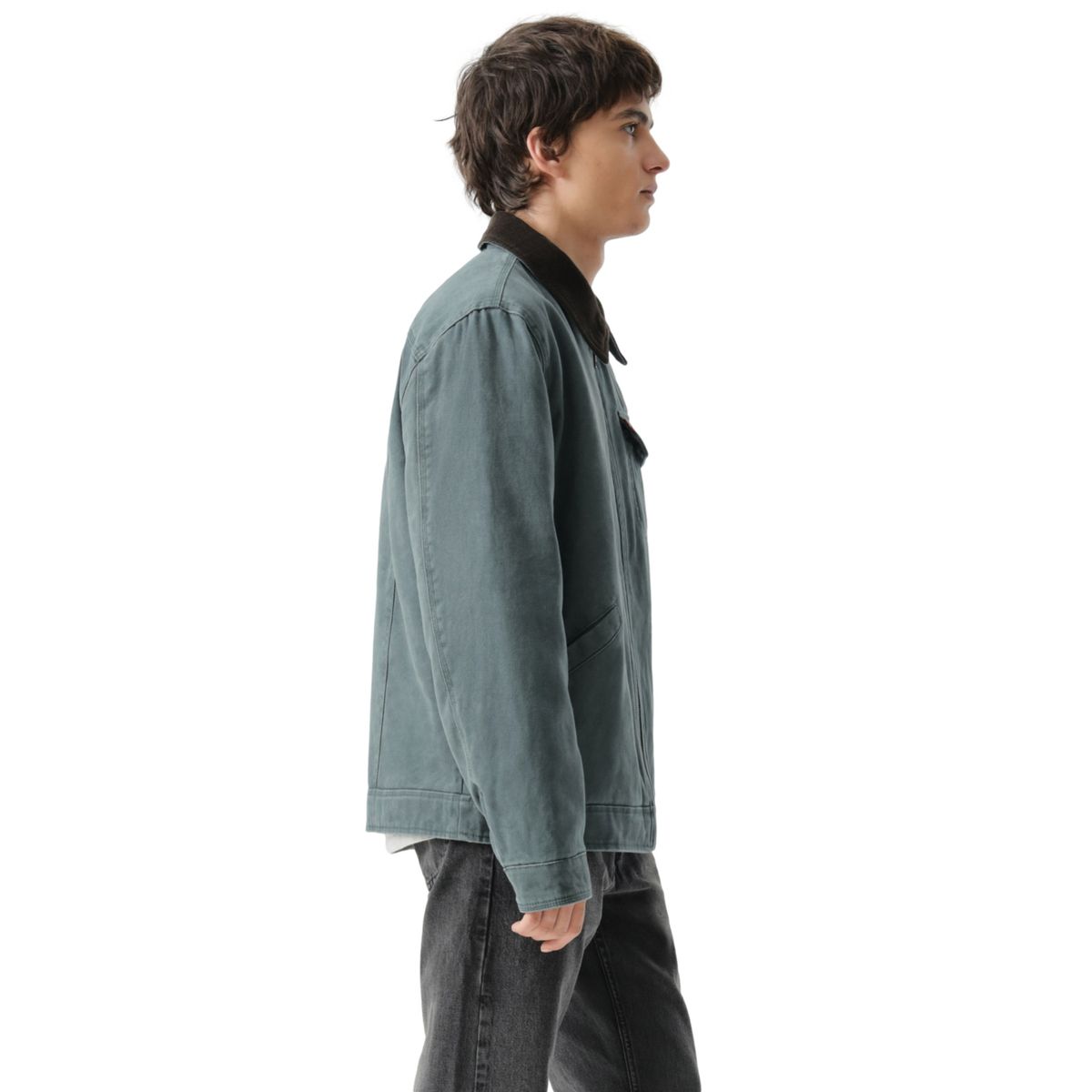 LEVIS - Chaqueta Hombre Levis