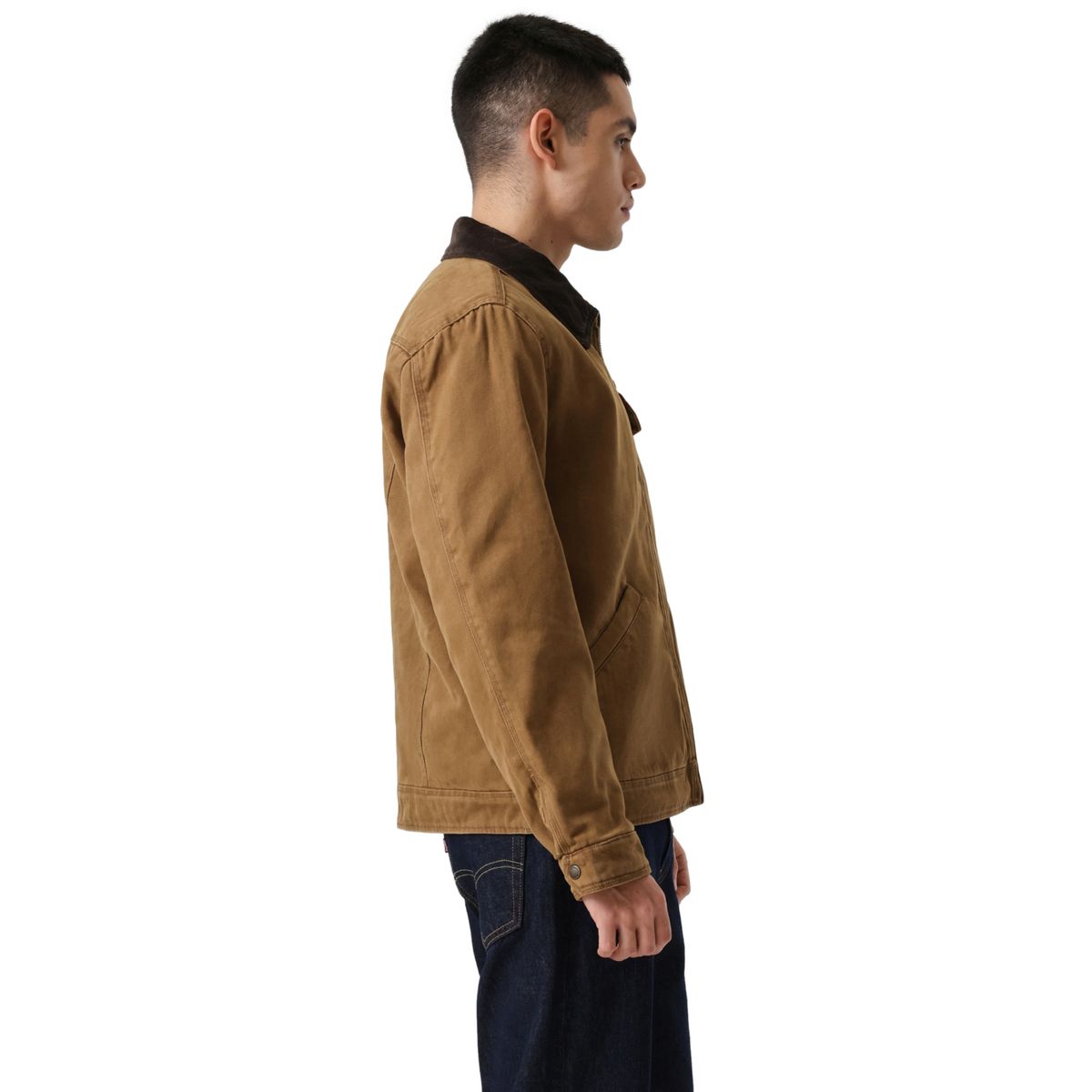 LEVIS - Chaqueta Hombre Levis