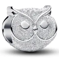 PANDORA - Mini Charm Búho con Textura Mujer