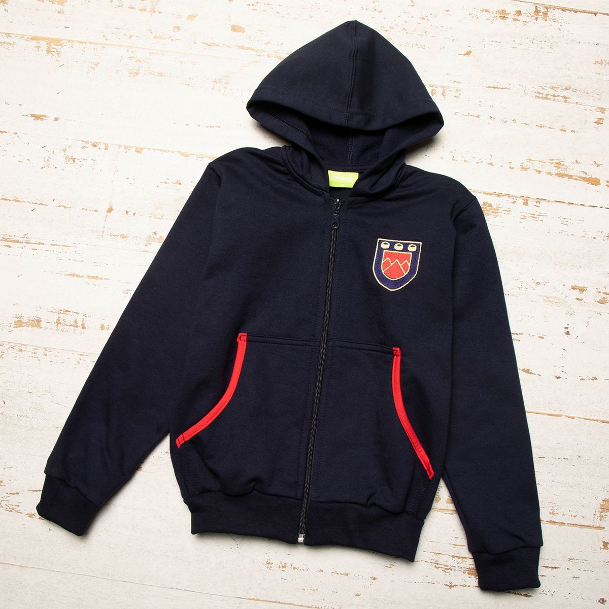COLEGIO LOS ANDES ALTO LAS CONDES - Polerón Buzo Escolar Unisex Colegio Los Andes Alto Las Condes