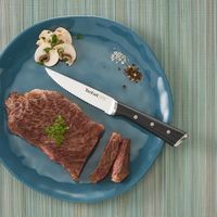 Set 4 Cuchillos De Cocina Multiuso 11 Cm Ice Force